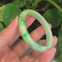 Natural Jadeite Jade Bangle Bracelet ( 53 mm) #442