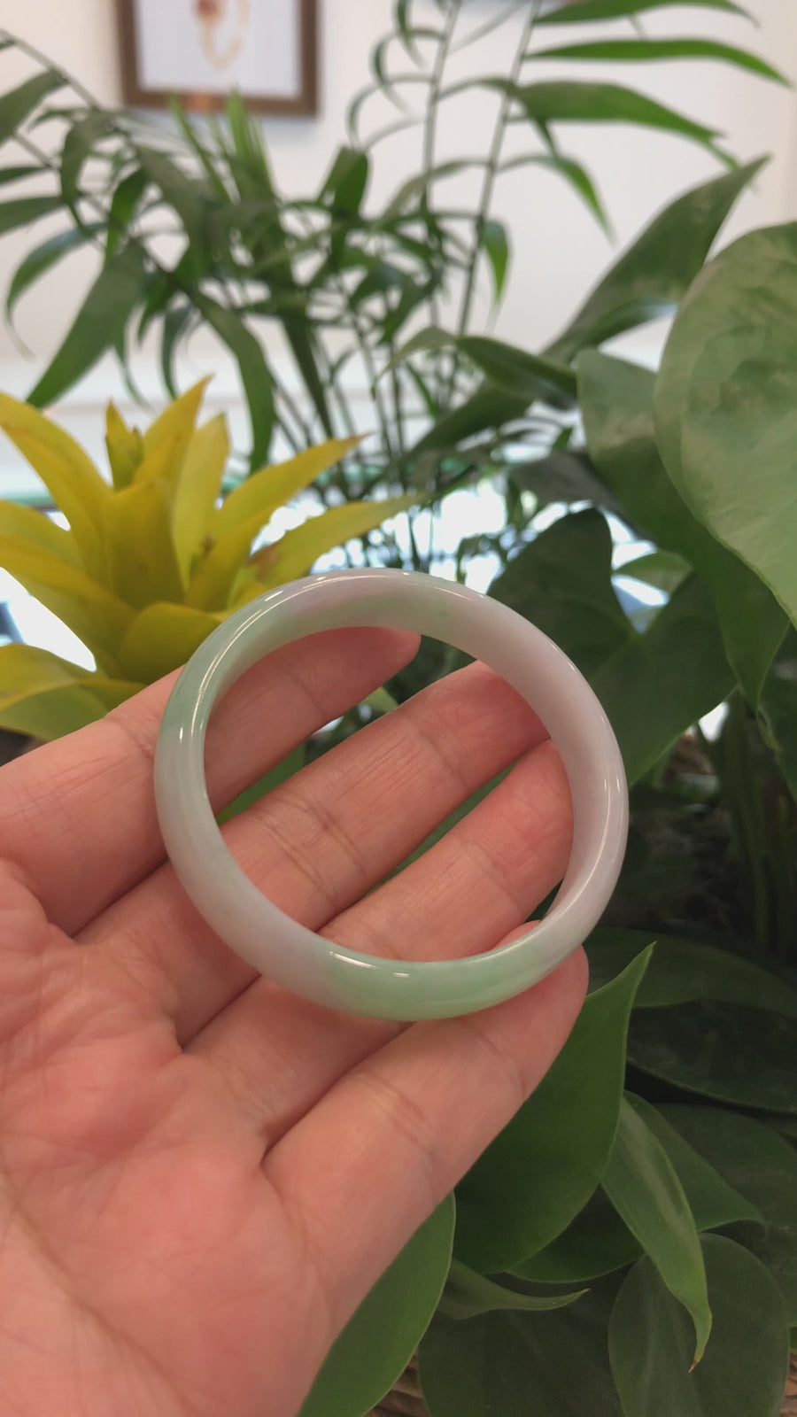 Genuine Burmese Lavender & Green Jadeite Jade Bangle Bracelet (51.5 mm ) #239