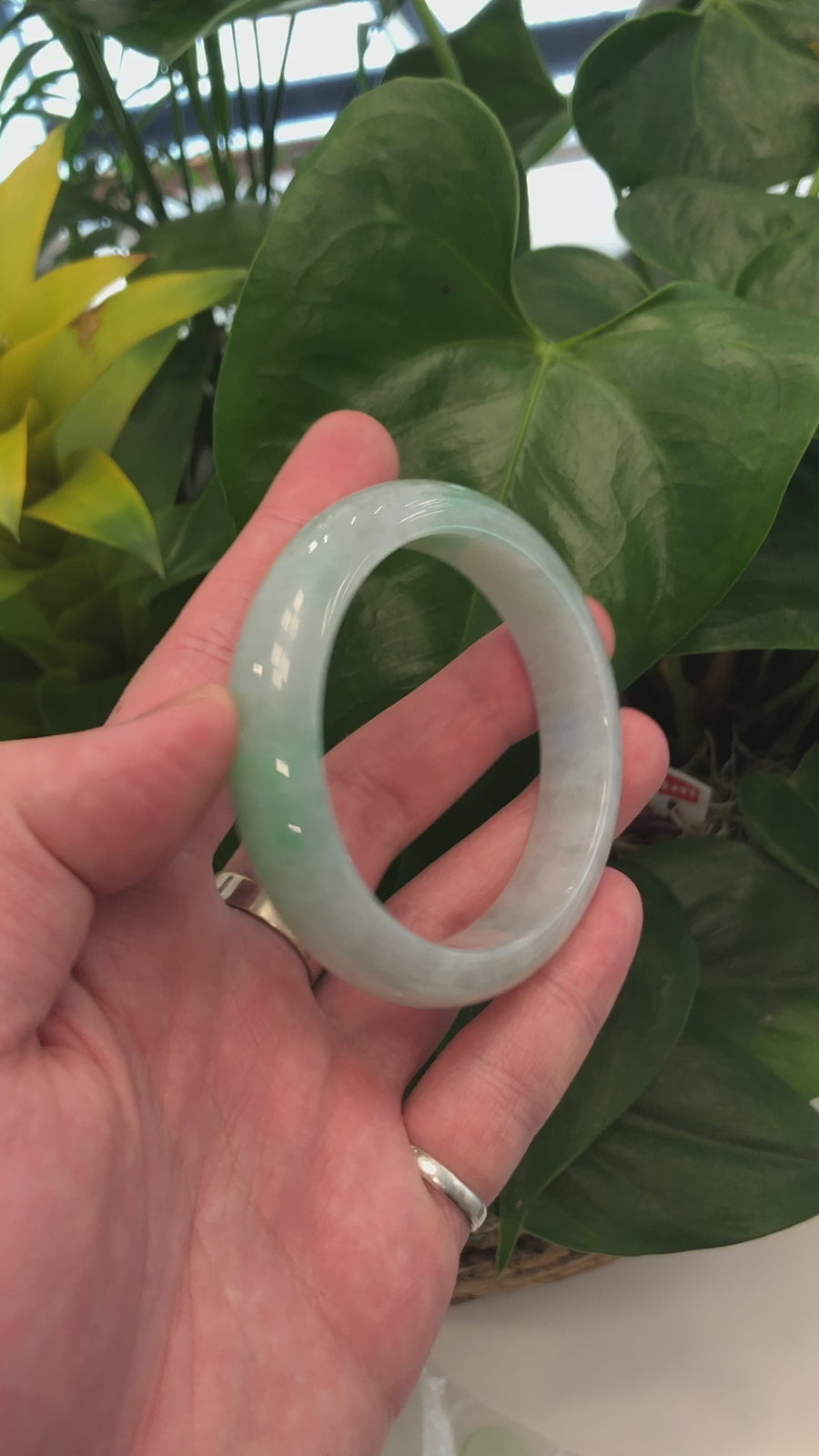 Real Burmese Green Jadeite Jade Bangle Bracelet ( 57.0 mm ) #444