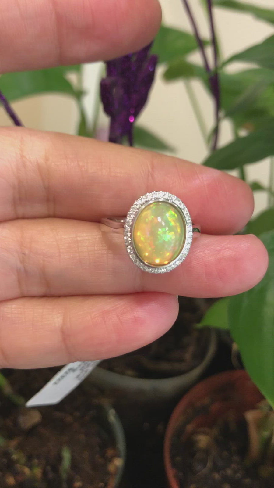Baikalla™ "Alice" 18k Gold Oval Ethiopian Opal Ring w/Diamonds