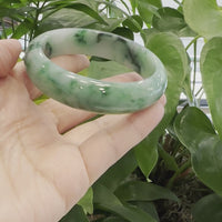 Baikalla Green Classic Real Jadeite Jade Bangle Bracelet (63.61mm) #389