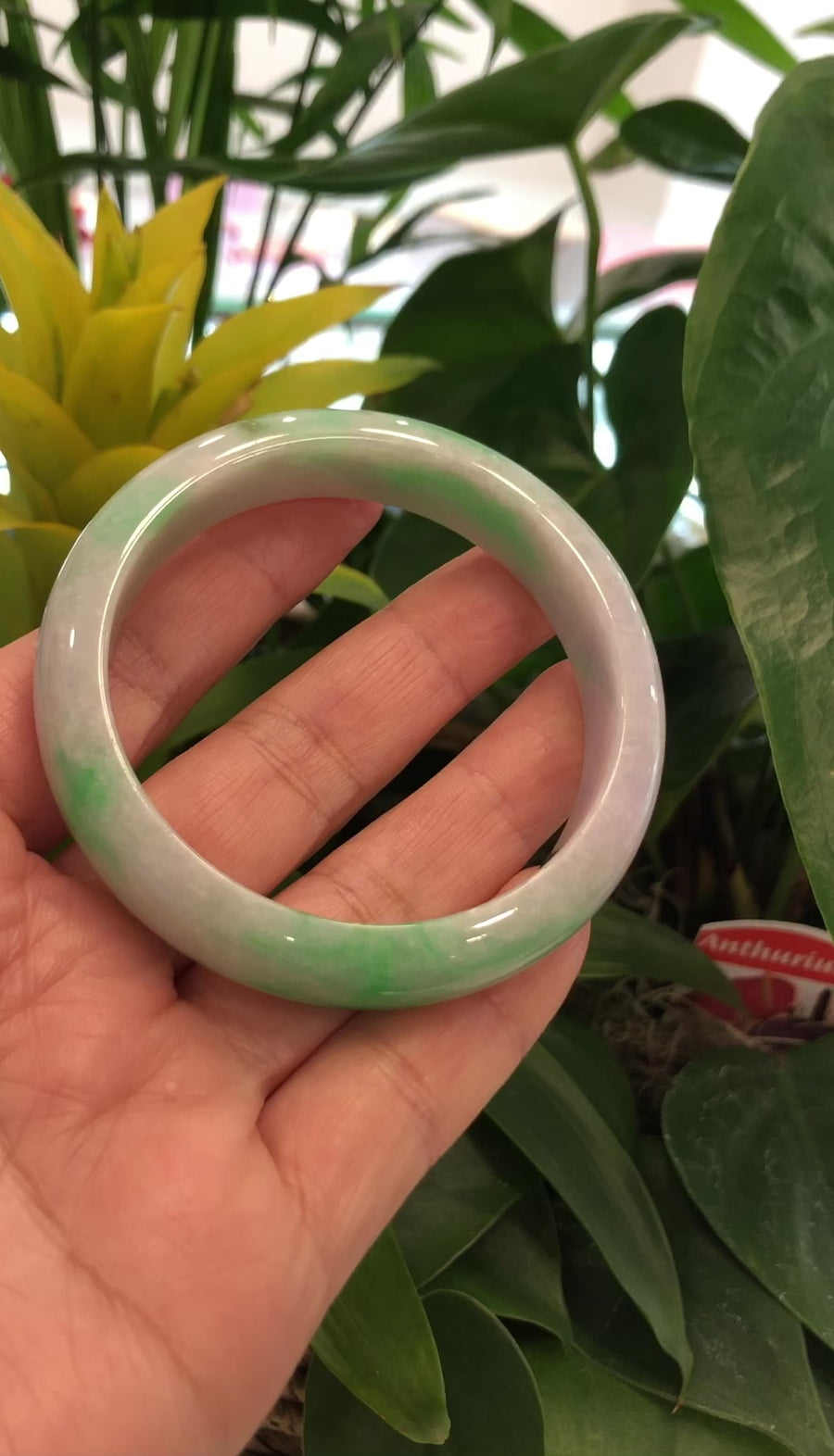 Natural Jadeite Jade Bangle Bracelet (60 mm) #440