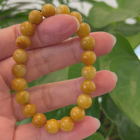 Jadeite Jade 9 mm Yellow Round Beads Bracelet ( 9 mm )