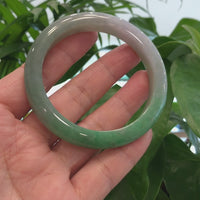 Baikalla Forest Green Classic Real Jadeite Jade Bangle Bracelet (60.53mm) #926