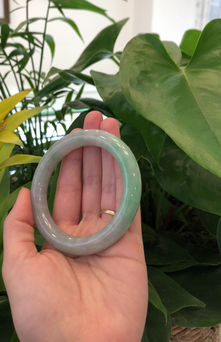 Baikalla's Classic Real Jadeite Jade Bangle Bracelet (57.17 mm) #919