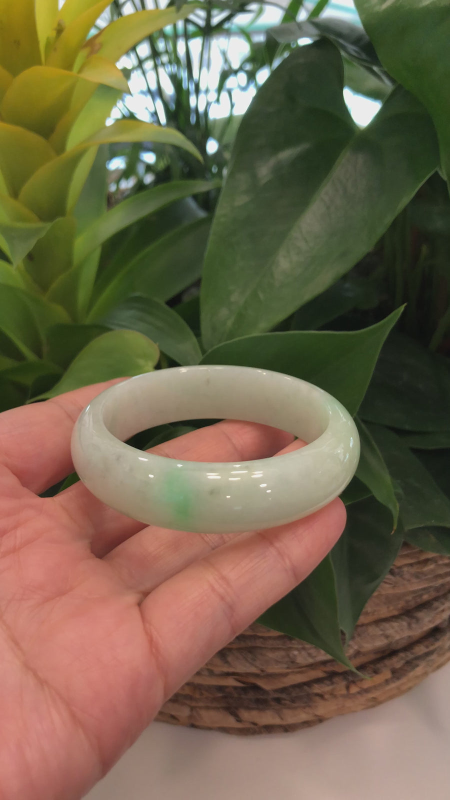 High-quality Yellow- Green Natural Burmese Jadeite Jade Bangle (54.89 mm ) #327