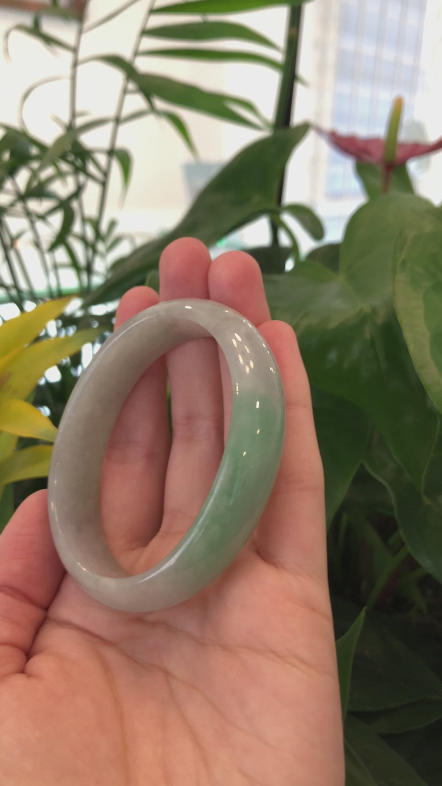 Baikalla Genuine Burmese Green Jadeite Jade Oval Bangle (55.24 mm) #339