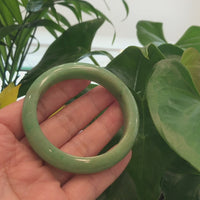 Genuine High-quality Burmese Yellowish Green Jadeite Jade Bangle (56.51mm) #893
