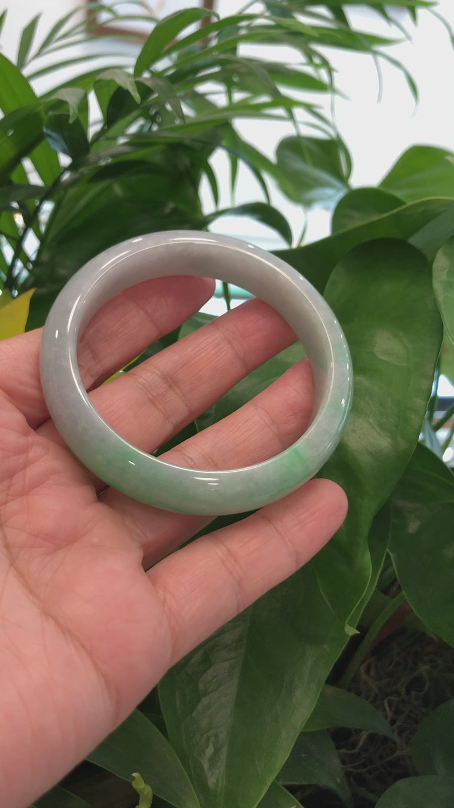Baikalla "Classic Bangle" Genuine Jadeite Jade Apple Green Bangle Bracelet (59.04mm)#366