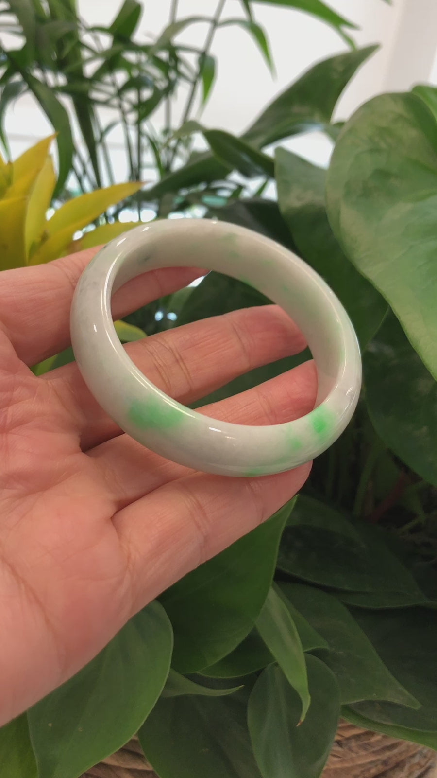 "Classic Half-Round Bangle" Genuine Burmese Green Jadeite Jade Bangle Bracelet (55.43 mm) #703