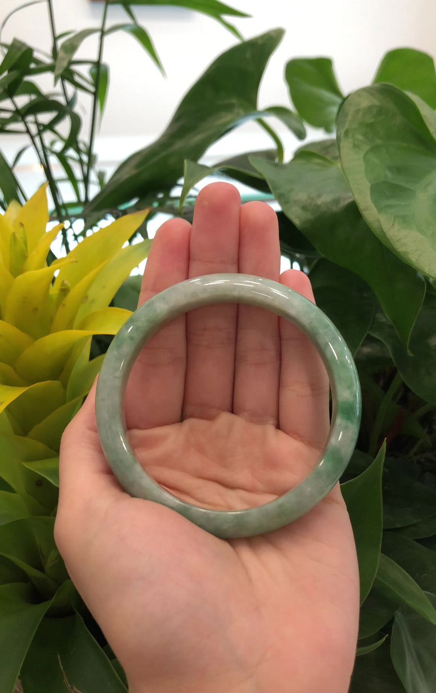 "Classic Bangle" Forest Green Genuine Jadeite Jade Bangle (59.46 mm ) #631