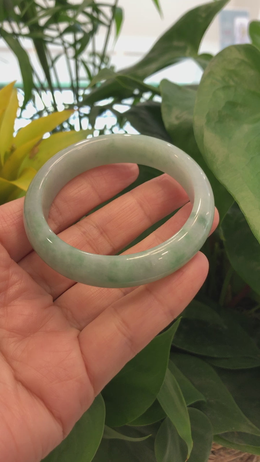 Genuine Burmese Green Jadeite Jade Bangle Bracelet (54.19 mm) #710