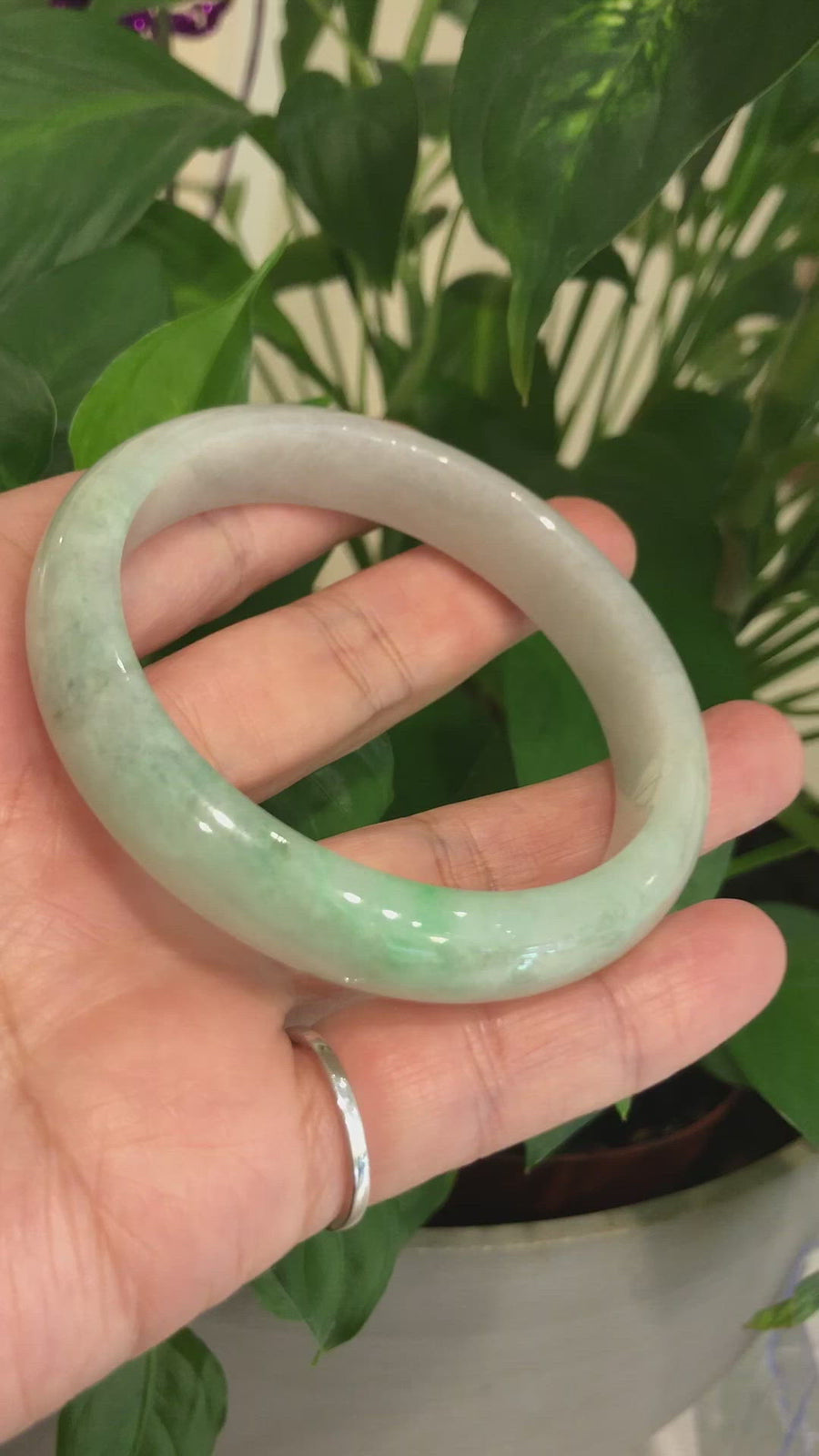 Baikalla™ "Classic Bangle" Genuine Burmese High Quality Jadeite Jade Bangle Bracelet ( 62.25mm )#117